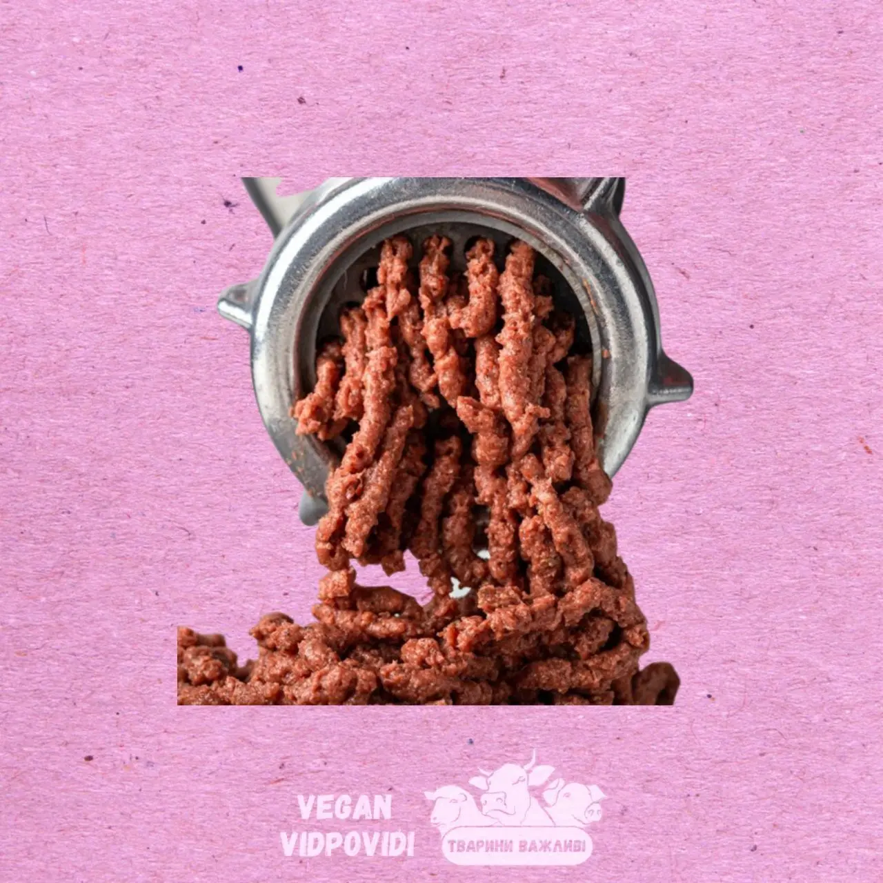 Фарш рослинний Fine organic
