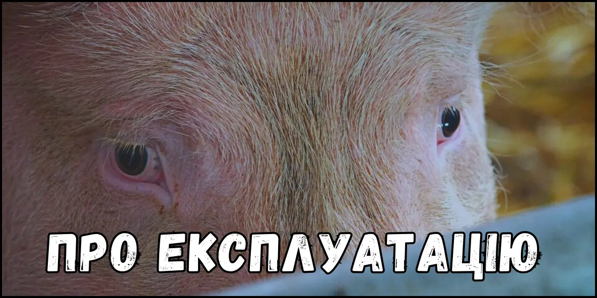 Чому це є продуктами експлуатації та насилля