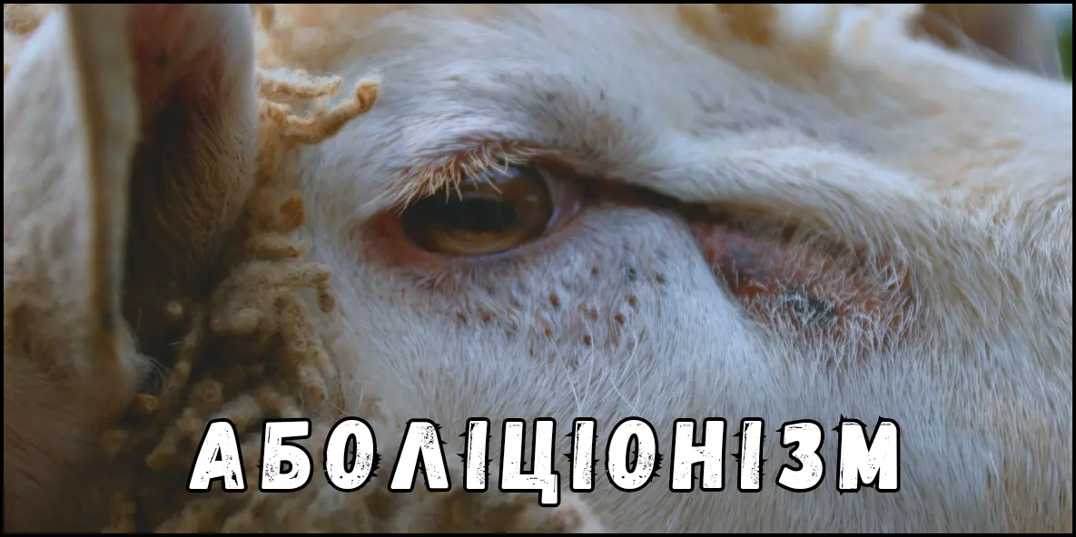 Веган Аболіціонізм