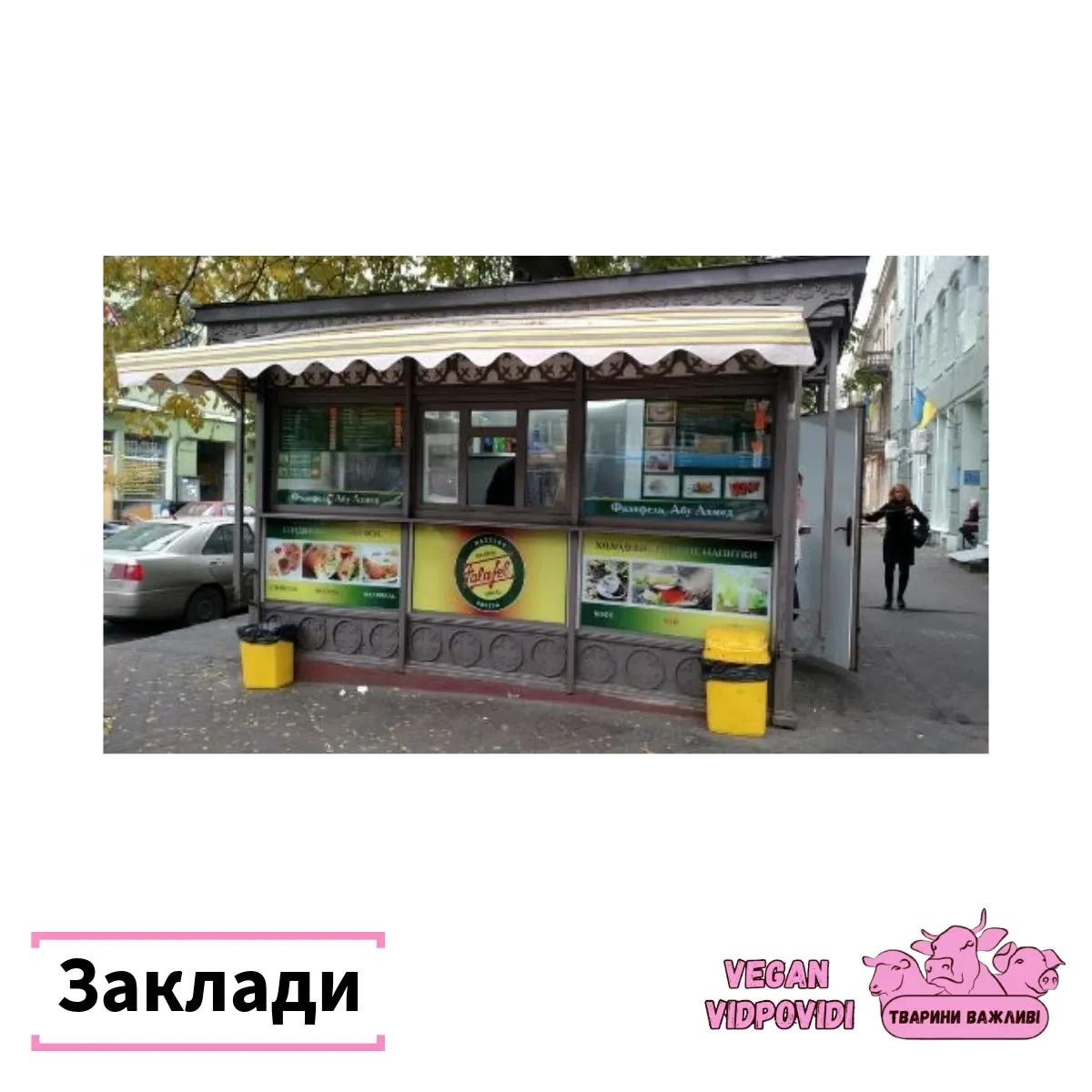 Маестро фалафель