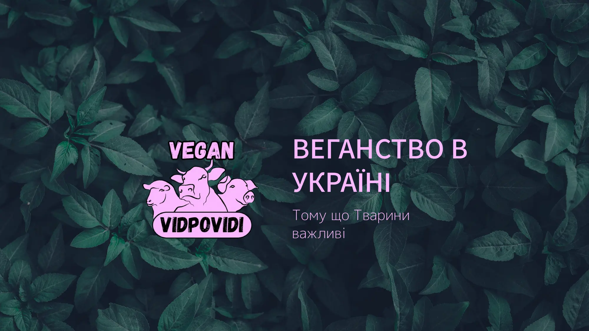 Веган Відповіді