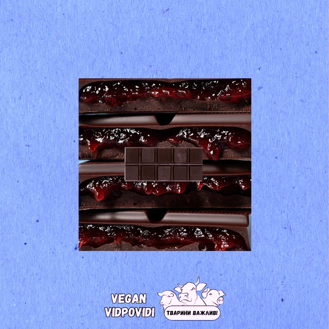 Чорний веганський шоколад BOGI CACAO з ягідною начинкою
