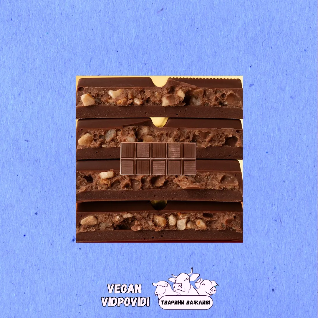 Молочний веганський шоколад BOGI CACAO з фундучною начинкою