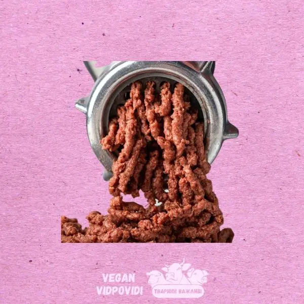 Фарш рослинний Fine organic
