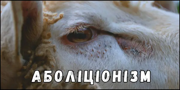 Веган Аболіціонізм