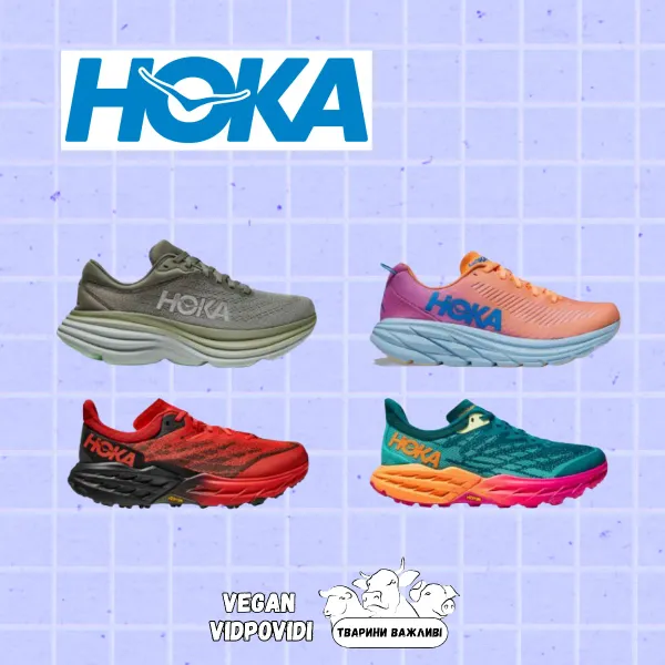 Взуття та кроссівки Hoka